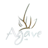 Agave