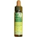 Kastanjeknopp Plantis Nº 07 10 ml