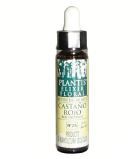 Red Chestnut Plantis nr 25 10 ml