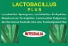 Lactobacillus Plus 60 kapslar