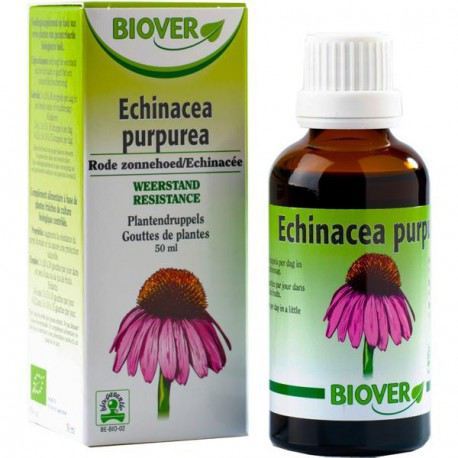 Echinacea Purpurea Echinacea 50 ml