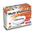 Multivitaminer + Ginseng 24 tabletter