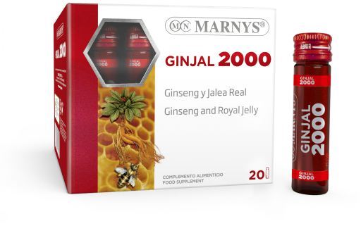 Ginjal 20 injektionsflaskor x 2000 mg