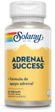 Adrenal Success 60 grönsakskapslar