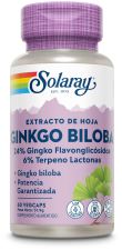 Ginkgo Biloba 60 mg 60 kapslar