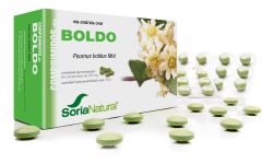 Boldo 60 Tabletter 600 mg