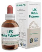 Betula Pubescens Dunbjörk 50 ml