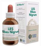 Ribes Nigrum svarta vinbär 50 ml