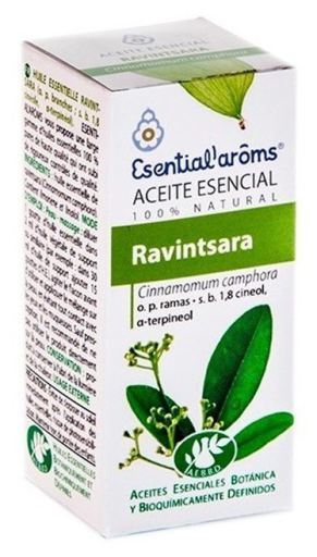 Ravensara essens 5 ml