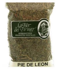 Lejonfot 40 Gr