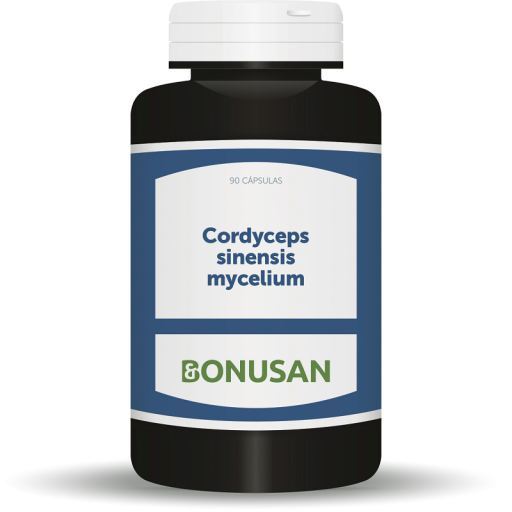 Cordyceps sinensis mycelium