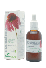 Echinacea Extract Glycerine 50Ml