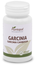 Garcinia Gamboria 60 Eco-tabletter