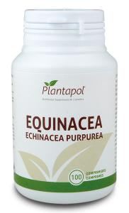 Echinacea 100 Eco-tabletter