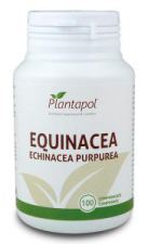 Echinacea 100 Eco-tabletter