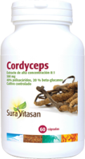 Cordyceps 60 kapslar