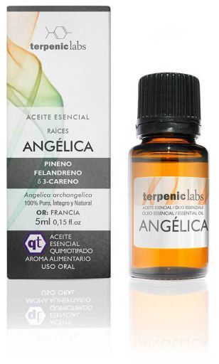 Angelica eterisk olja 5 ml