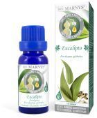 Eucalyptus Food Essential Oil 15 ml