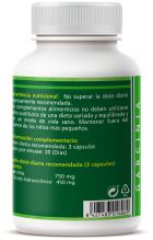 Garcinia 500 mg 90 kapslar