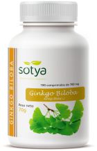 Ginkgo Biloba 100 tabletter