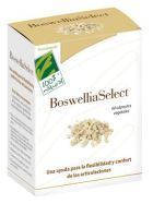 Boswellia Select 60 Veggie-kapslar