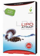 Lipoatrap 30 kapslar