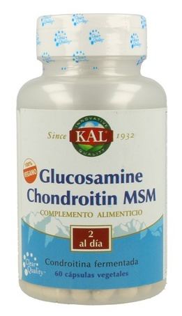 Vegan 100% Glukosamin Chondroitin Msm 60 Comp