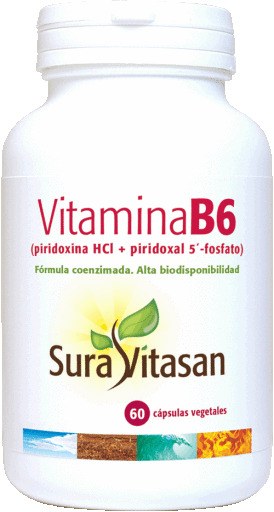 Vitamin B6 60 kapslar