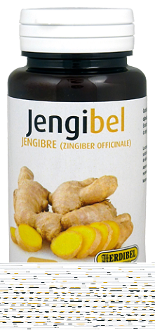 Jengibel 100 kapslar