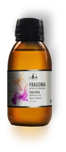 Fragonia eterisk olja 30 ml