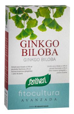 Ginkgo Biloba 40 kapslar