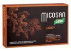 Micosan energy 40 kapslar