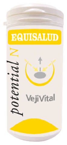 Vejivital 60 kapslar