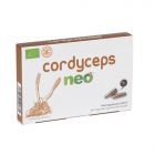 Cordyceps 60 kapslar