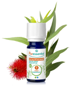 Eucalyptus Radiata eterisk olja 10 ml