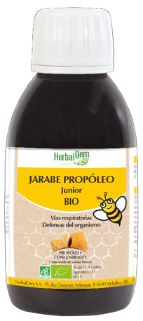 Propolis Junior Syrup Bio * 150 ml