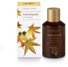 Ambraliquida Silky Body Oil 125 ml