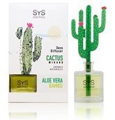 Aloe Vera och Bamboo Cactus Diffuser 90 ml