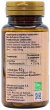 Ginkgo Biloba 80 tabletter