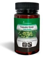 Fänkål Capsudiet 40 kapslar