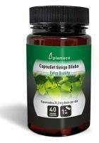 Ginkgo Biloba Capsudiet 40 kapslar