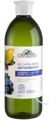 Blueberry Argan Antioxidant Bath Gel 600 ml