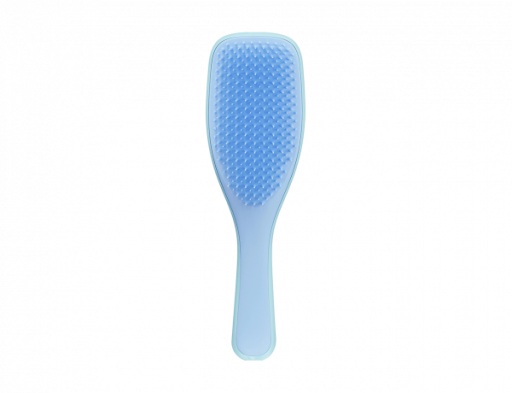 Wet Detangler Wet Detangling Brush Blue