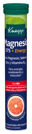 Magnesium 375 + Energi 15 Brustabletter