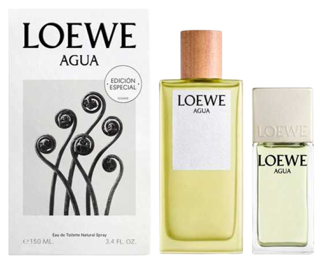 Loewe cool hotsell eau de toilette