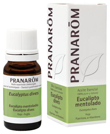 Mentol Eucalyptus eterisk olja 10 ml