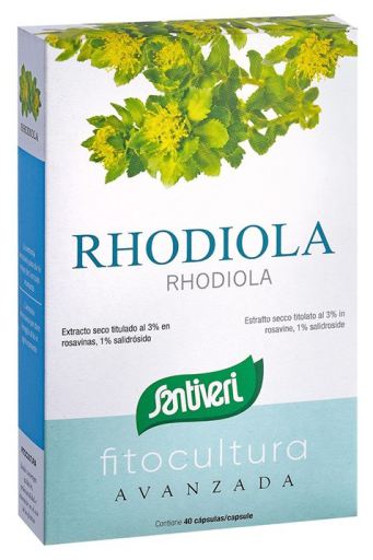 Rhodiola 40 kapslar