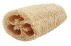 Luffa