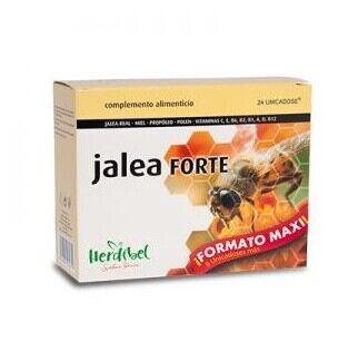 Forte Maxi Jelly 24 enheter