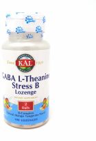 Gaba L-Theanine Stress B 100 kapslar